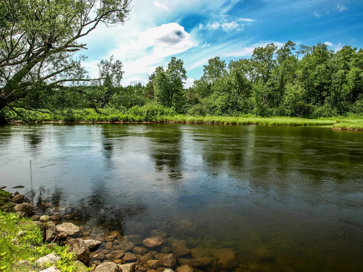 haliburton-ontario image