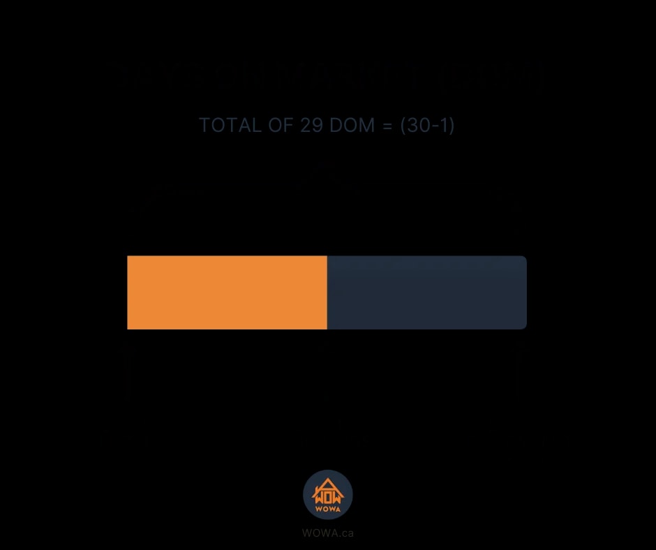 DOM infographic